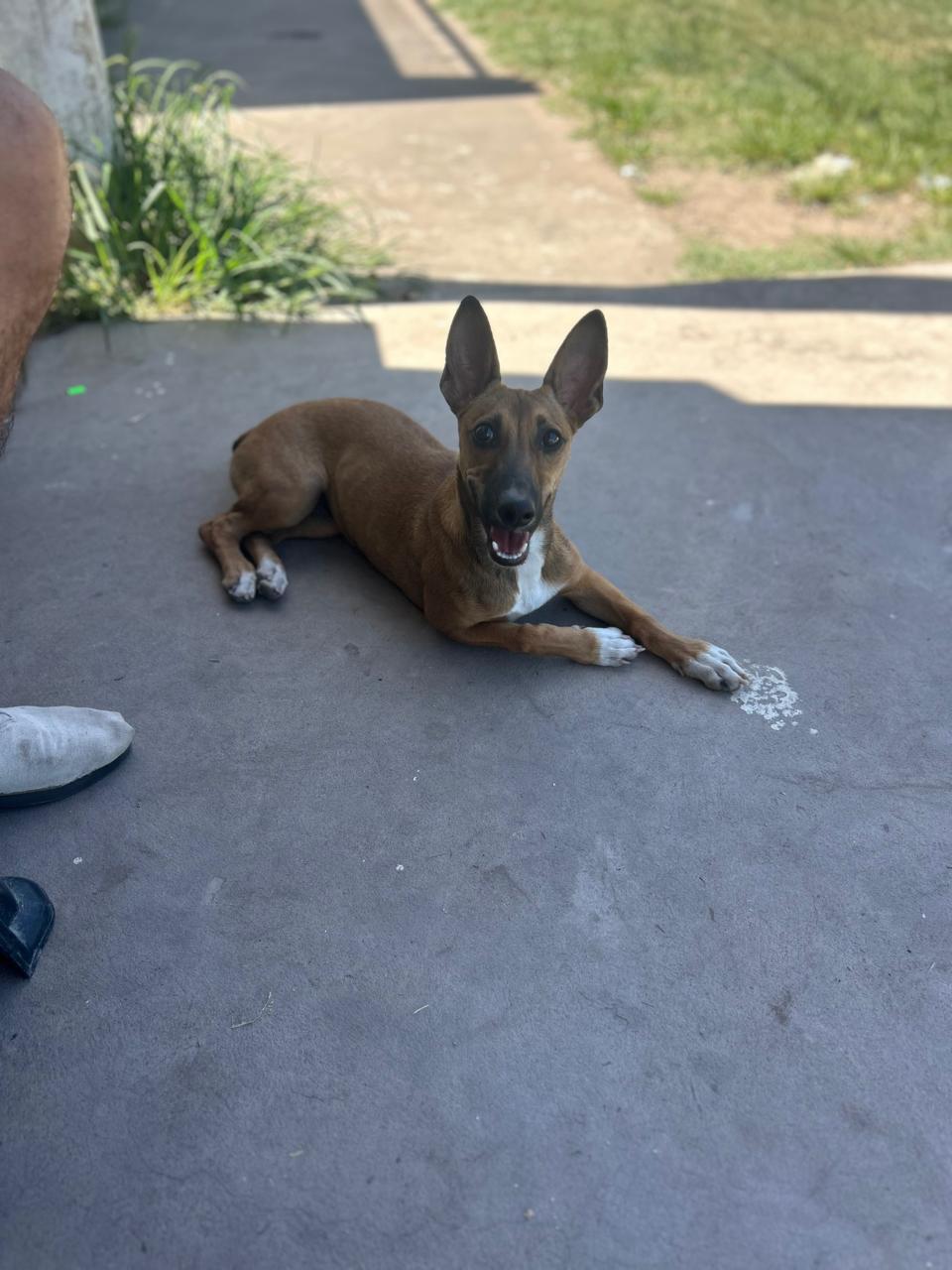 Foto