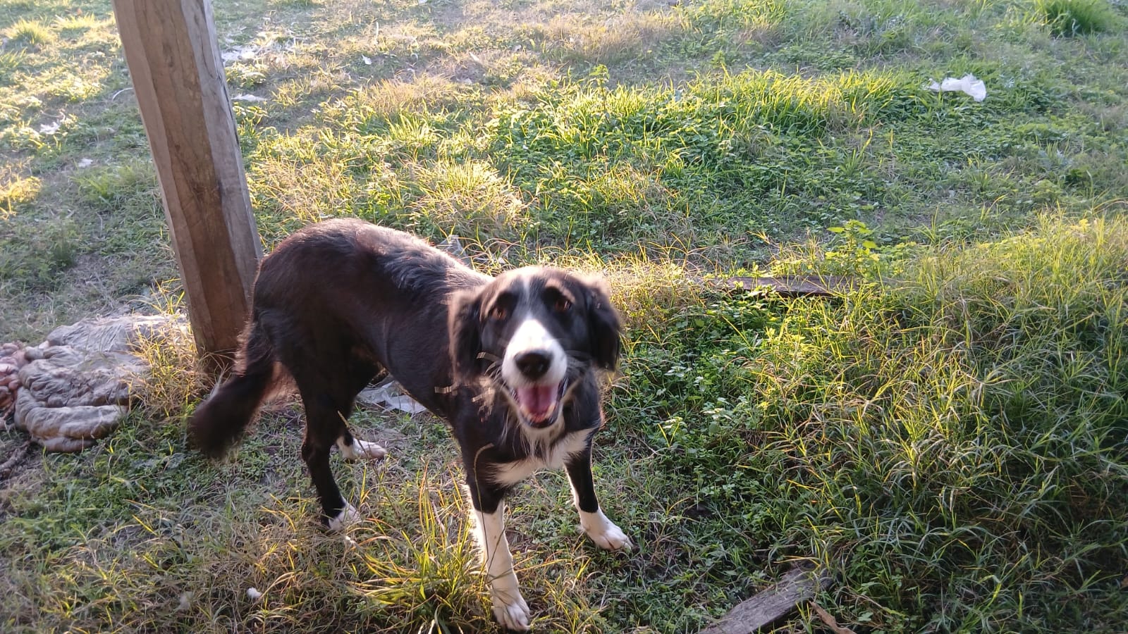 Foto